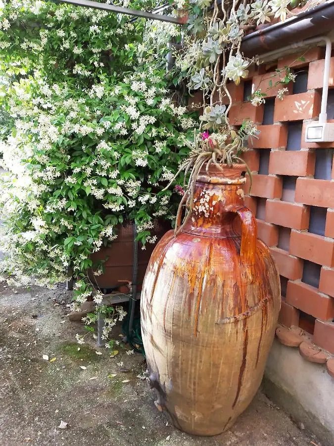 Casa Del Gelsomino E Del Nespolo Daire Floransa 0*,  İtalya